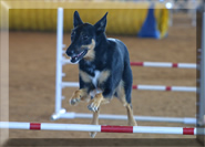 Zeus