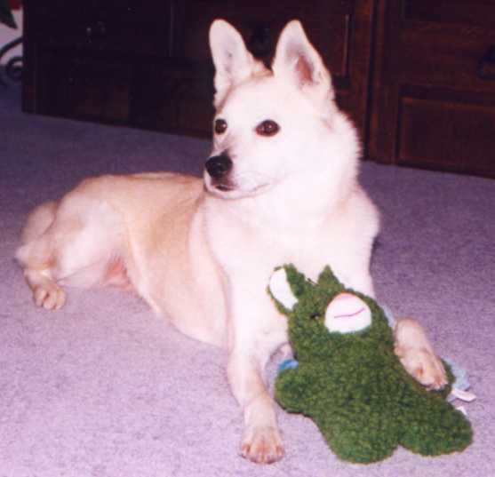 Sprout